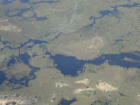 オカバンゴ湿地帯を上空から見下ろした景色